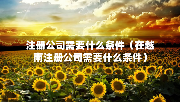 注冊(cè)公司需要什么條件（在越南注冊(cè)公司需要什么條件）