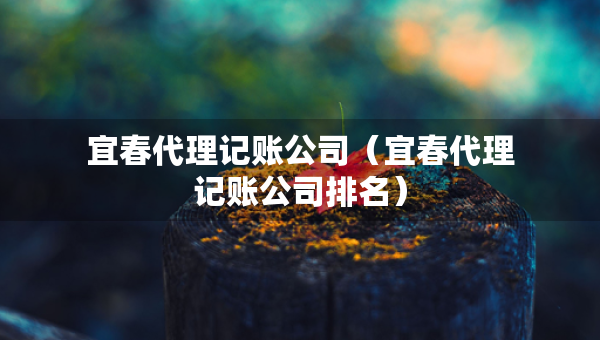 宜春代理記賬公司（宜春代理記賬公司排名）