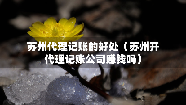 蘇州代理記賬的好處（蘇州開代理記賬公司賺錢嗎）