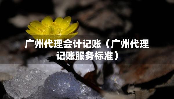 廣州代理會(huì)計(jì)記賬（廣州代理記賬服務(wù)標(biāo)準(zhǔn)）