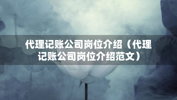 代理記賬公司崗位介紹（代理記賬公司崗位介紹范文）