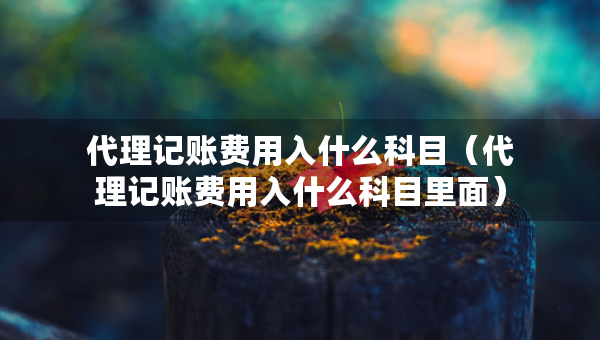 代理記賬費(fèi)用入什么科目（代理記賬費(fèi)用入什么科目里面）