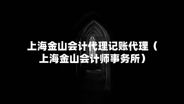 上海金山會計代理記賬代理（上海金山會計師事務(wù)所）