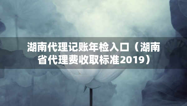 湖南代理記賬年檢入口（湖南省代理費(fèi)收取標(biāo)準(zhǔn)2019）