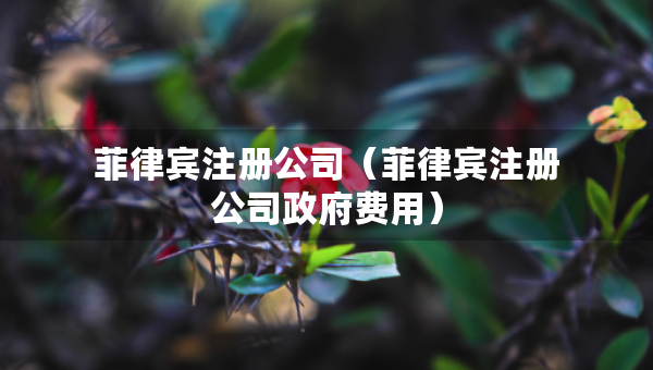 菲律賓注冊(cè)公司（菲律賓注冊(cè)公司政府費(fèi)用）