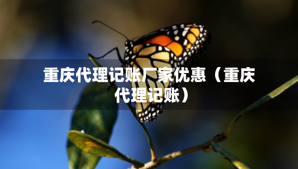 重慶代理記賬廠家優(yōu)惠（重慶 代理記賬）