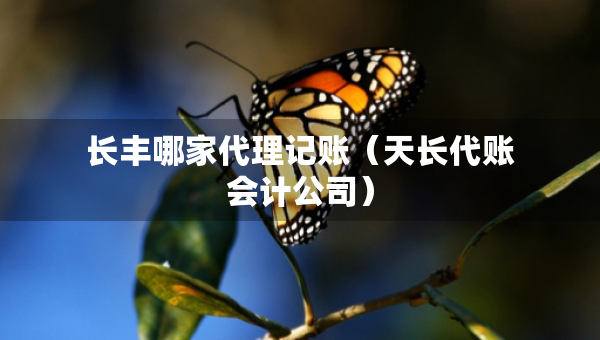 長(zhǎng)豐哪家代理記賬（天長(zhǎng)代賬會(huì)計(jì)公司）