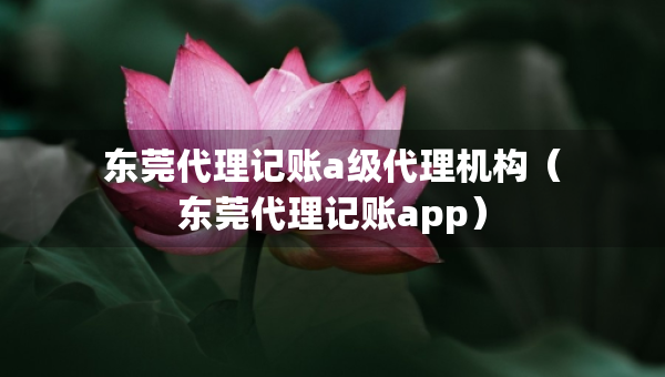 東莞代理記賬a級代理機構（東莞代理記賬app）