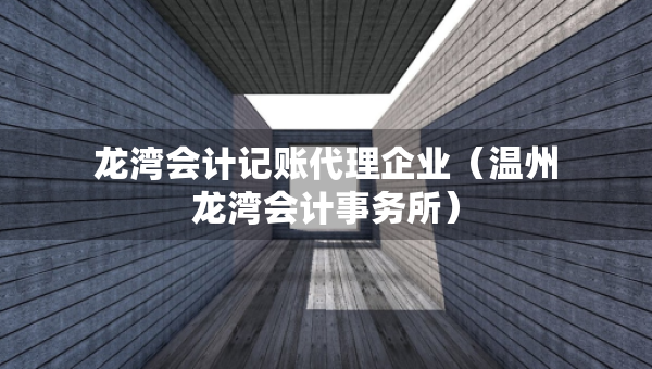 龍灣會計記賬代理企業(yè)（溫州龍灣會計事務所）