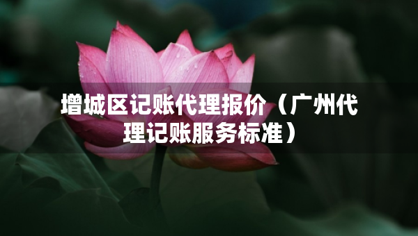 增城區(qū)記賬代理報(bào)價(jià)（廣州代理記賬服務(wù)標(biāo)準(zhǔn)）