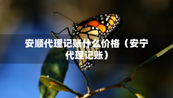 安順代理記賬什么價格（安寧代理記賬）