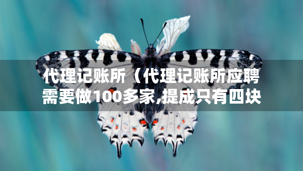 代理記賬所（代理記賬所應(yīng)聘需要做100多家,提成只有四塊一家）