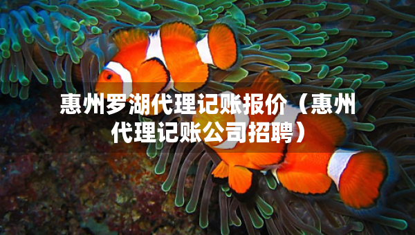 惠州羅湖代理記賬報價（惠州代理記賬公司招聘）