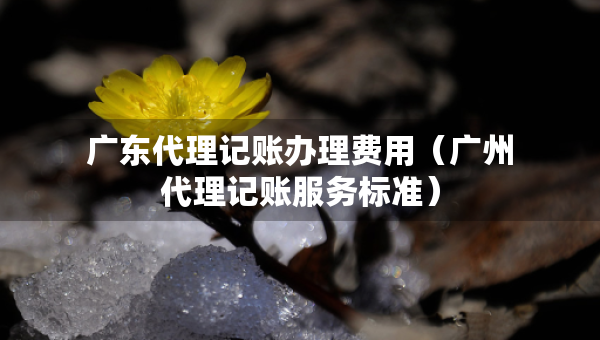 廣東代理記賬辦理費(fèi)用（廣州代理記賬服務(wù)標(biāo)準(zhǔn)）