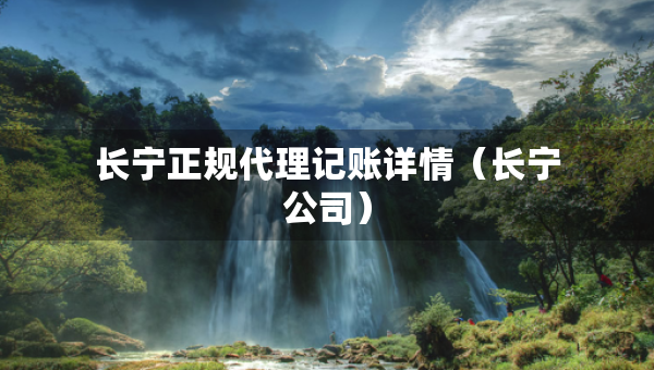 長(zhǎng)寧正規(guī)代理記賬詳情（長(zhǎng)寧公司）