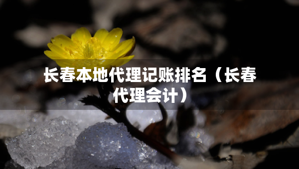 長春本地代理記賬排名（長春代理會計）