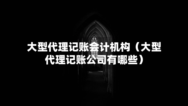 大型代理記賬會(huì)計(jì)機(jī)構(gòu)（大型代理記賬公司有哪些）