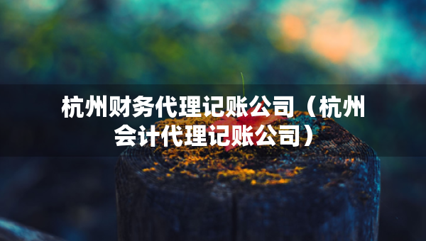 杭州財(cái)務(wù)代理記賬公司（杭州會(huì)計(jì)代理記賬公司）