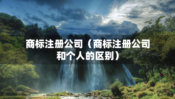 商標(biāo)注冊公司（商標(biāo)注冊公司和個(gè)人的區(qū)別）