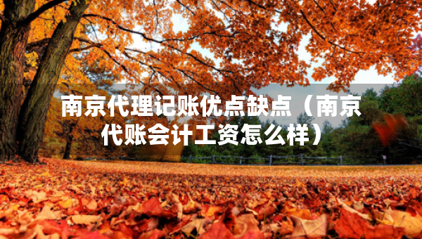 南京代理記賬優(yōu)點(diǎn)缺點(diǎn)（南京代賬會(huì)計(jì)工資怎么樣）