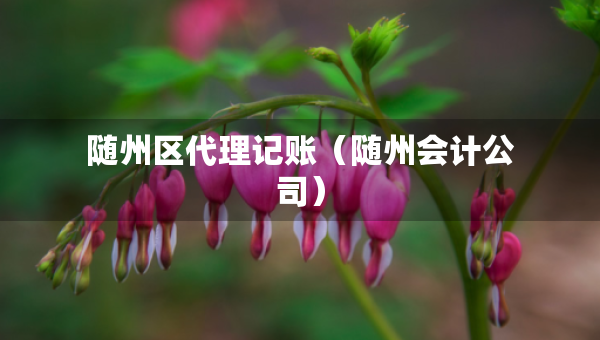 隨州區(qū)代理記賬（隨州會計公司）