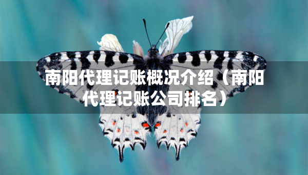 南陽代理記賬概況介紹（南陽代理記賬公司排名）