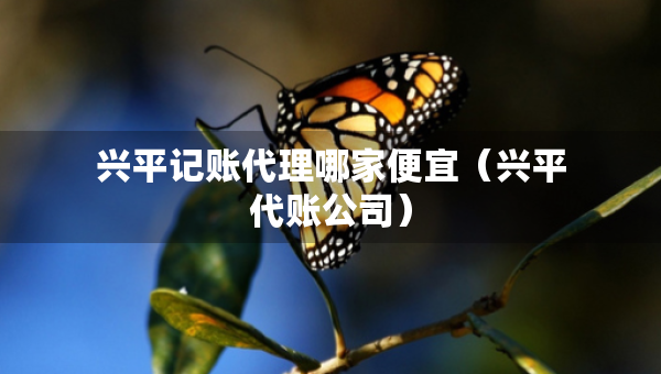 興平記賬代理哪家便宜（興平代賬公司）