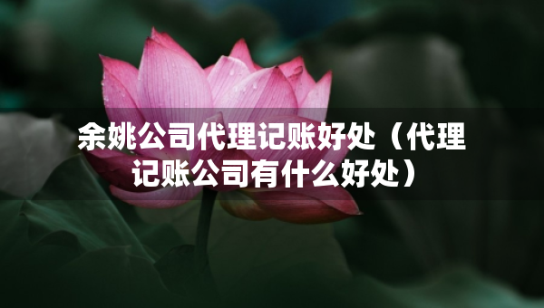 余姚公司代理記賬好處（代理記賬公司有什么好處）