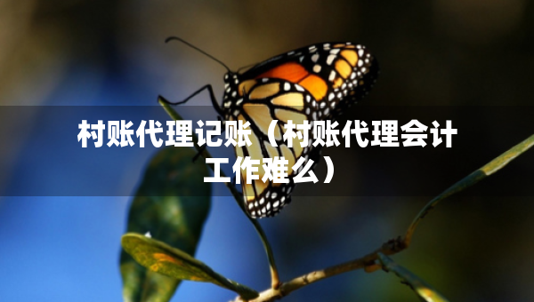 村賬代理記賬（村賬代理會計工作難么）