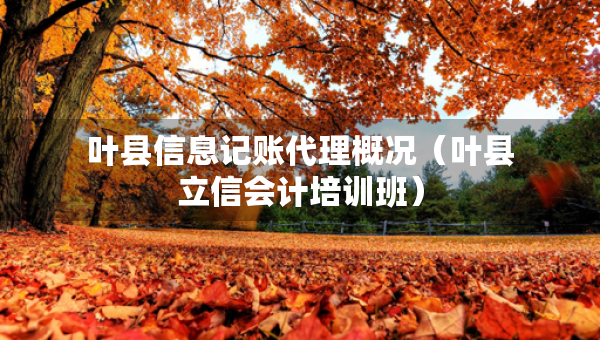 葉縣信息記賬代理概況（葉縣立信會(huì)計(jì)培訓(xùn)班）