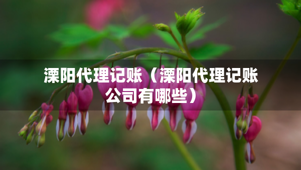 溧陽(yáng)代理記賬（溧陽(yáng)代理記賬公司有哪些）