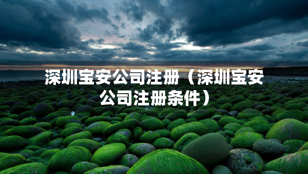 深圳寶安公司注冊(cè)（深圳寶安公司注冊(cè)條件）