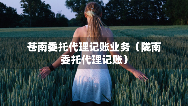 蒼南委托代理記賬業(yè)務(wù)（隴南委托代理記賬）