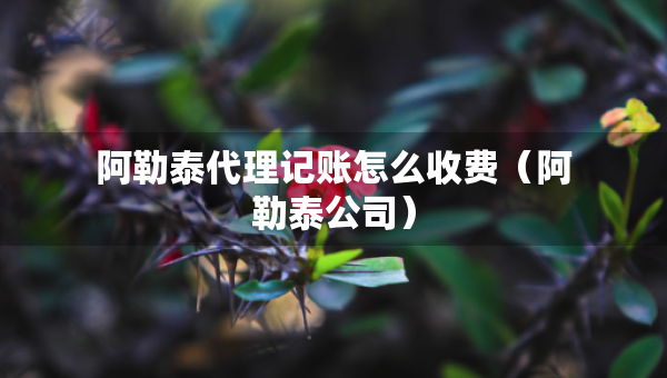 阿勒泰代理記賬怎么收費（阿勒泰公司）