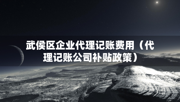 武侯區(qū)企業(yè)代理記賬費(fèi)用（代理記賬公司補(bǔ)貼政策）