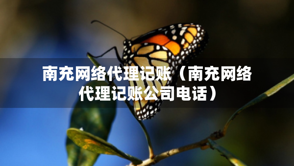 南充網(wǎng)絡代理記賬（南充網(wǎng)絡代理記賬公司電話）