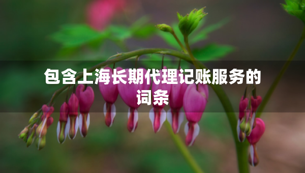 包含上海長期代理記賬服務的詞條