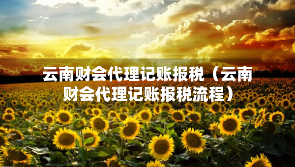 云南財(cái)會(huì)代理記賬報(bào)稅（云南財(cái)會(huì)代理記賬報(bào)稅流程）