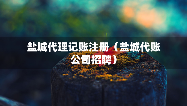 鹽城代理記賬注冊(cè)（鹽城代賬公司招聘）