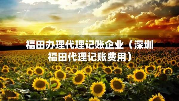 福田辦理代理記賬企業(yè)（深圳福田代理記賬費(fèi)用）