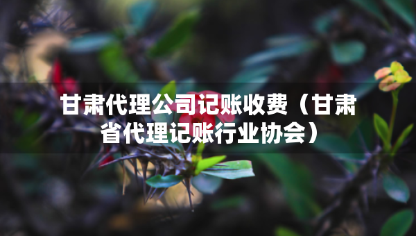 甘肅代理公司記賬收費（甘肅省代理記賬行業(yè)協(xié)會）