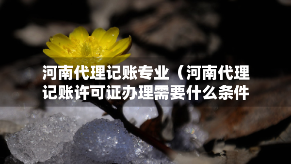 河南代理記賬專業(yè)（河南代理記賬許可證辦理需要什么條件）