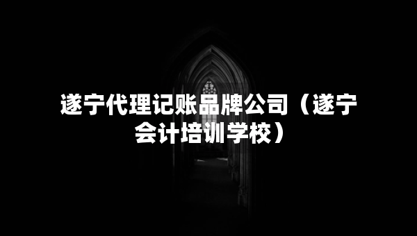 遂寧代理記賬品牌公司（遂寧會計培訓學校）