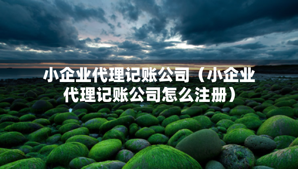 小企業(yè)代理記賬公司（小企業(yè)代理記賬公司怎么注冊）