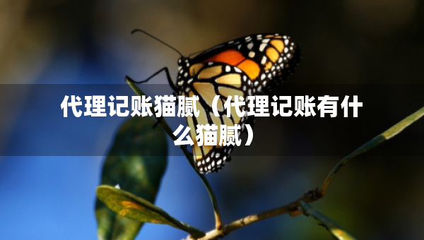 代理記賬貓膩（代理記賬有什么貓膩）