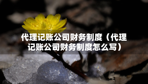 代理記賬公司財(cái)務(wù)制度（代理記賬公司財(cái)務(wù)制度怎么寫）