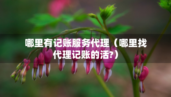 哪里有記賬服務(wù)代理（哪里找代理記賬的活?）