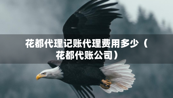 花都代理記賬代理費用多少（花都代賬公司）