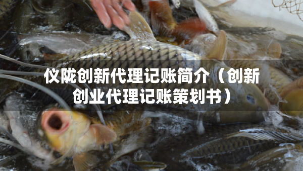 儀隴創(chuàng)新代理記賬簡(jiǎn)介（創(chuàng)新創(chuàng)業(yè)代理記賬策劃書(shū)）