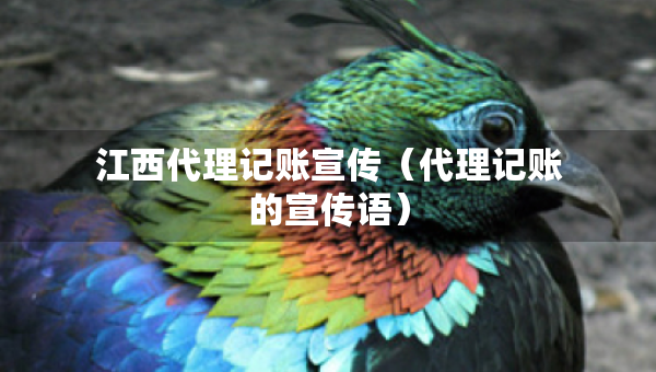 江西代理記賬宣傳（代理記賬的宣傳語(yǔ)）